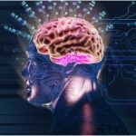 Brain Electricity