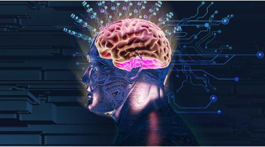 Brain Electricity